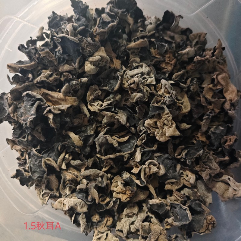 1.5木耳A