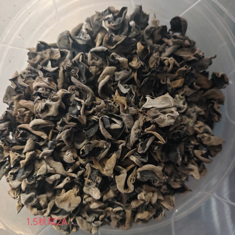 1.5木耳AA