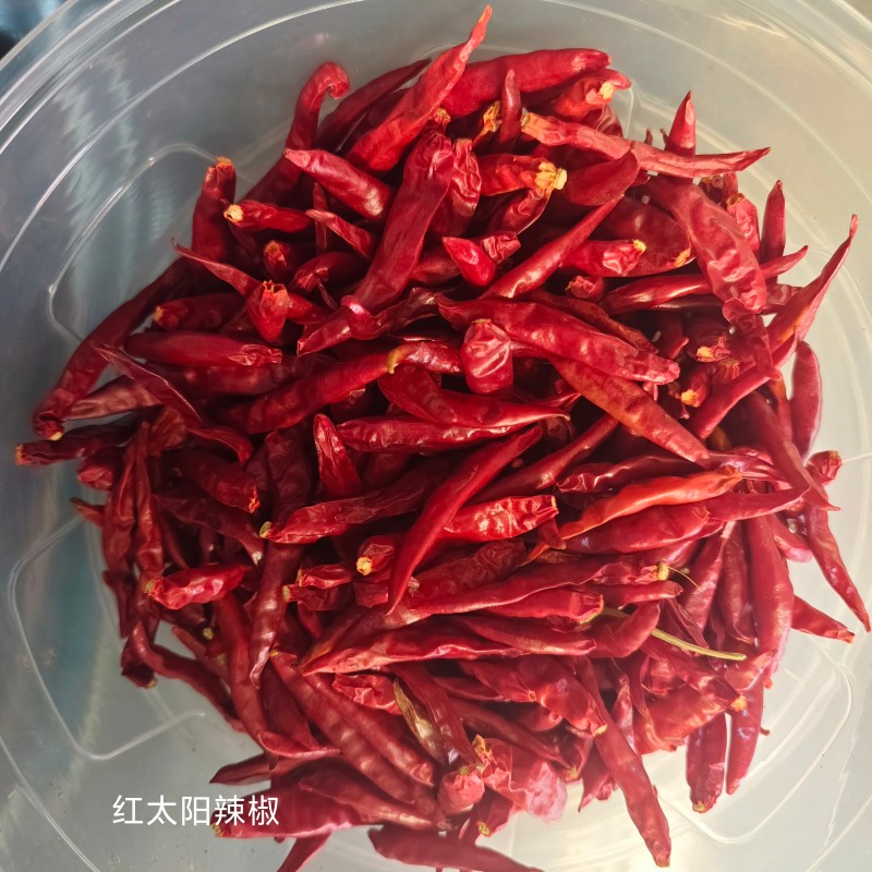 红太阳辣椒